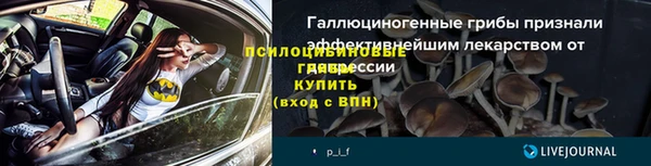 ECSTASY Дмитров