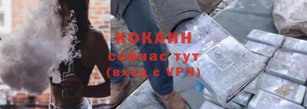 эйфоретик Гусев