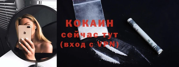 прущая мука Дмитриев