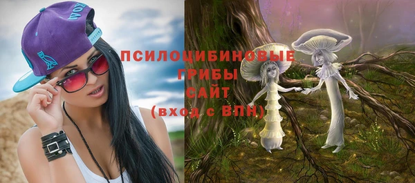 метадон Гусь-Хрустальный