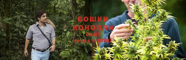 ECSTASY Дмитров