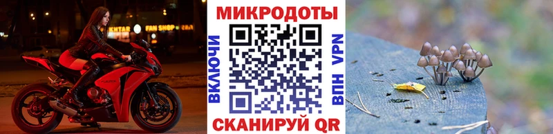 Купить закладки  Зеленодольск  Галлюциногенные грибы Psilocybe 